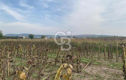 İZMİR FOÇA GERENKÖY SATILIK TARLA