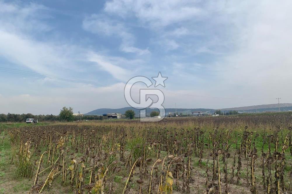 İZMİR FOÇA GERENKÖY SATILIK TARLA