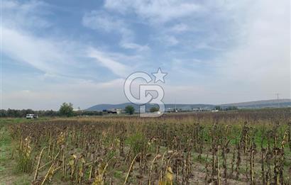 İZMİR FOÇA GERENKÖY SATILIK TARLA