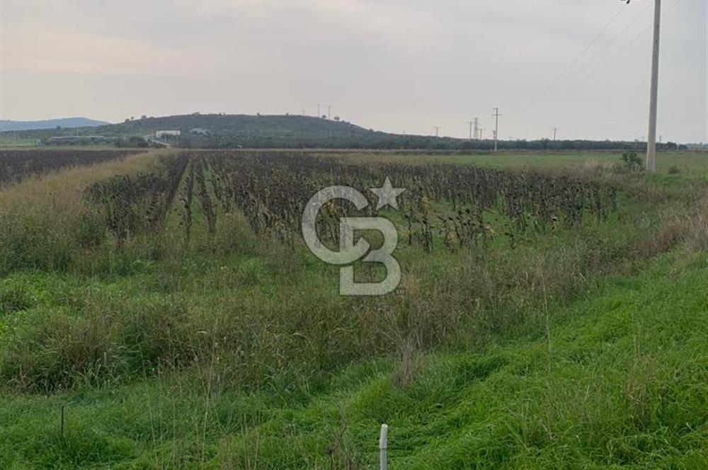 İZMİR FOÇA GERENKÖY SATILIK TARLA