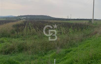 İZMİR FOÇA GERENKÖY SATILIK TARLA