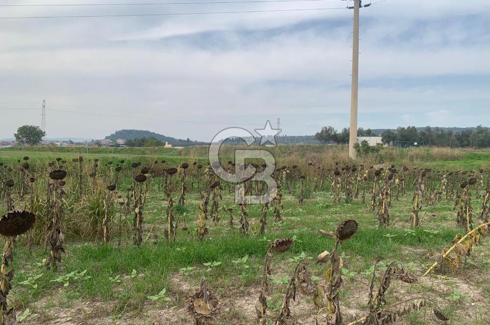 İZMİR FOÇA GERENKÖY SATILIK TARLA