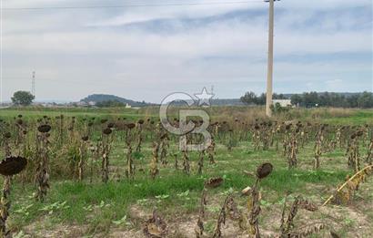 İZMİR FOÇA GERENKÖY SATILIK TARLA