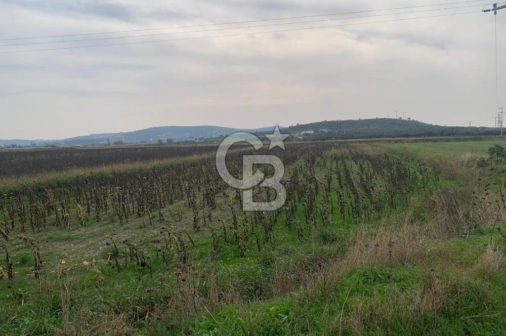 İZMİR FOÇA GERENKÖY SATILIK TARLA