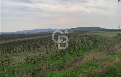 İZMİR FOÇA GERENKÖY SATILIK TARLA