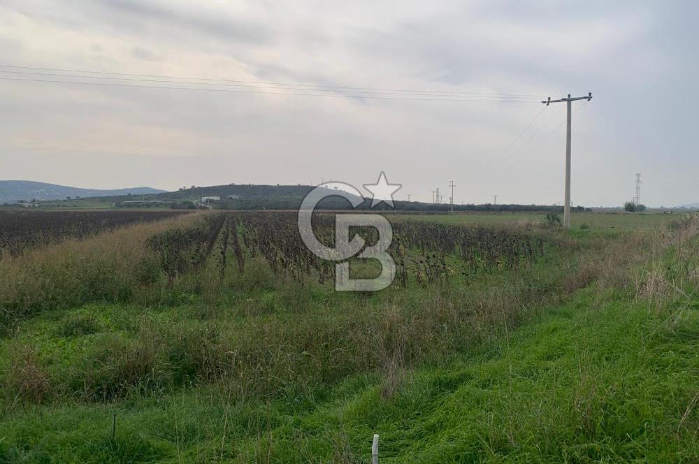 İZMİR FOÇA GERENKÖY SATILIK TARLA