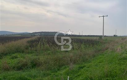 İZMİR FOÇA GERENKÖY SATILIK TARLA