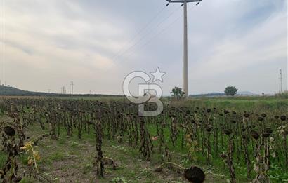 İZMİR FOÇA GERENKÖY SATILIK TARLA