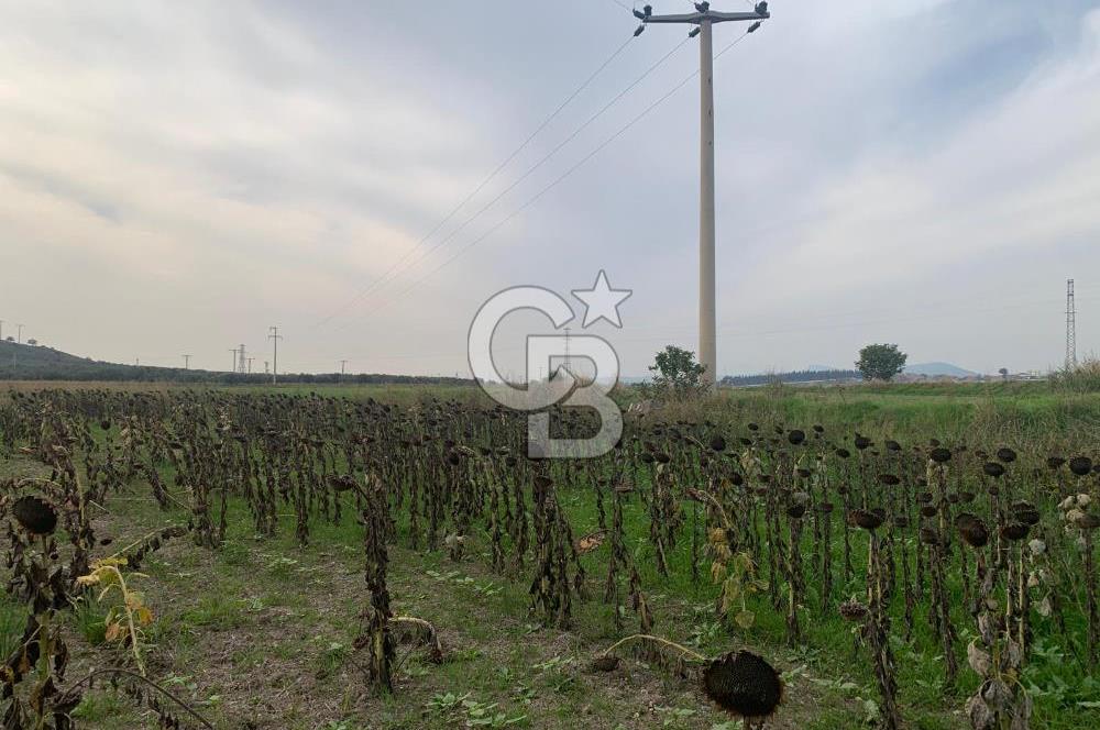 İZMİR FOÇA GERENKÖY SATILIK TARLA