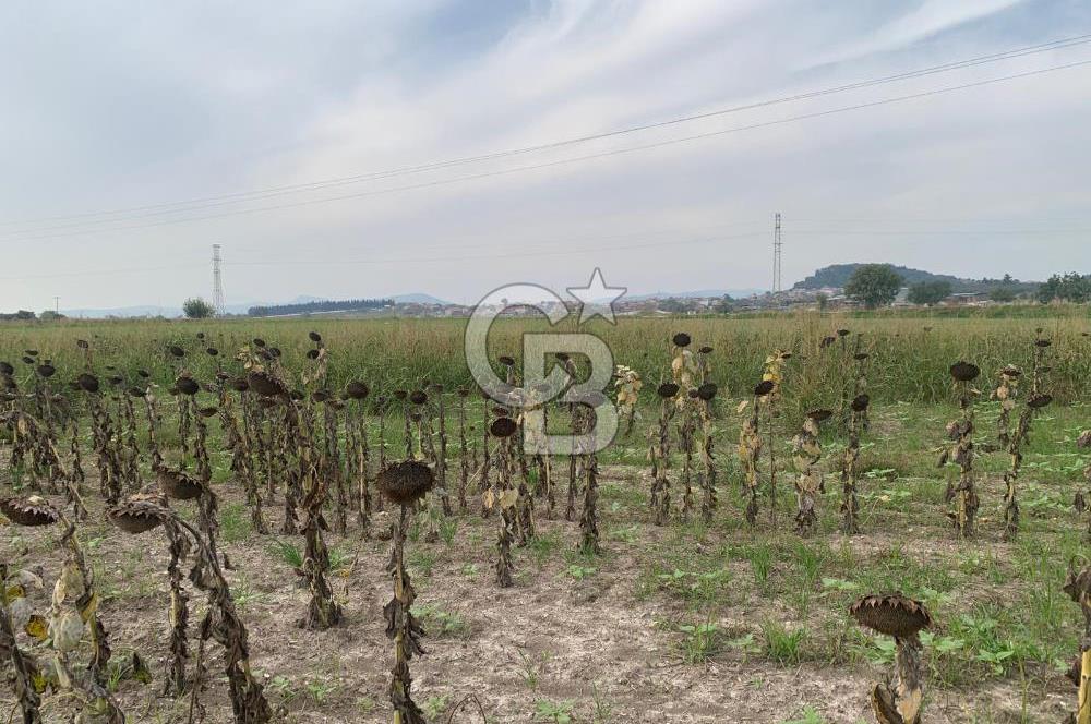 İZMİR FOÇA GERENKÖY SATILIK TARLA