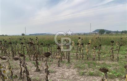 İZMİR FOÇA GERENKÖY SATILIK TARLA