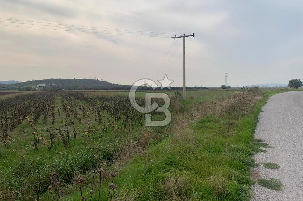 İZMİR FOÇA GERENKÖY SATILIK TARLA