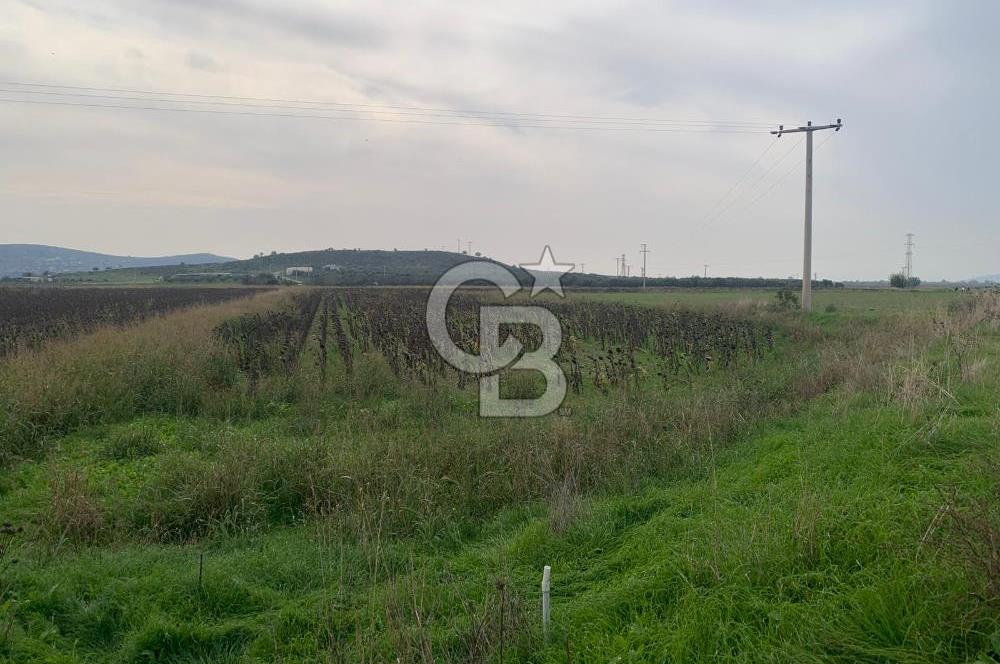 İZMİR FOÇA GERENKÖY SATILIK TARLA