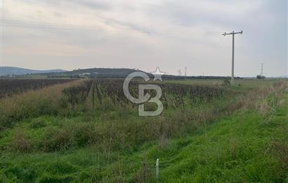 İZMİR FOÇA GERENKÖY SATILIK TARLA