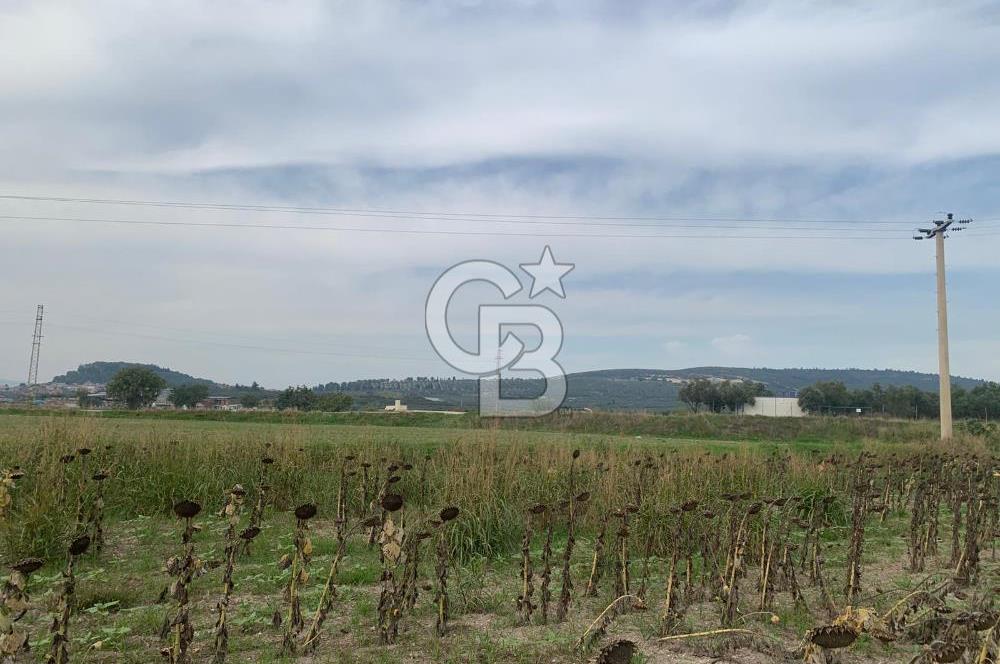 İZMİR FOÇA GERENKÖY SATILIK TARLA