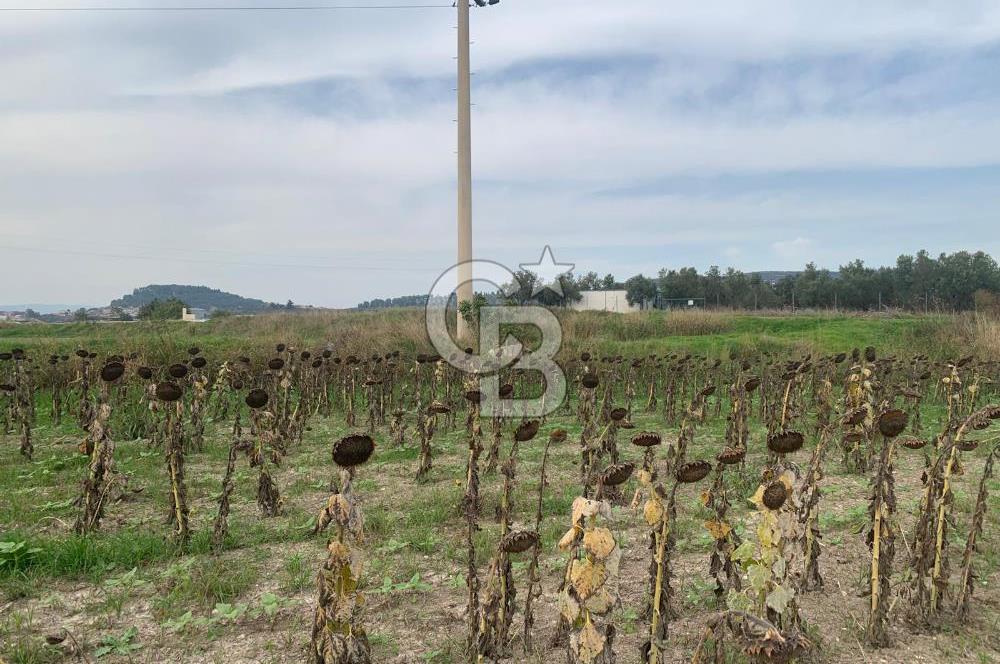 İZMİR FOÇA GERENKÖY SATILIK TARLA