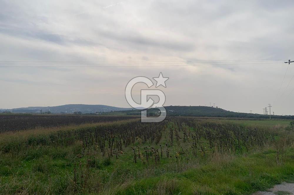 İZMİR FOÇA GERENKÖY SATILIK TARLA