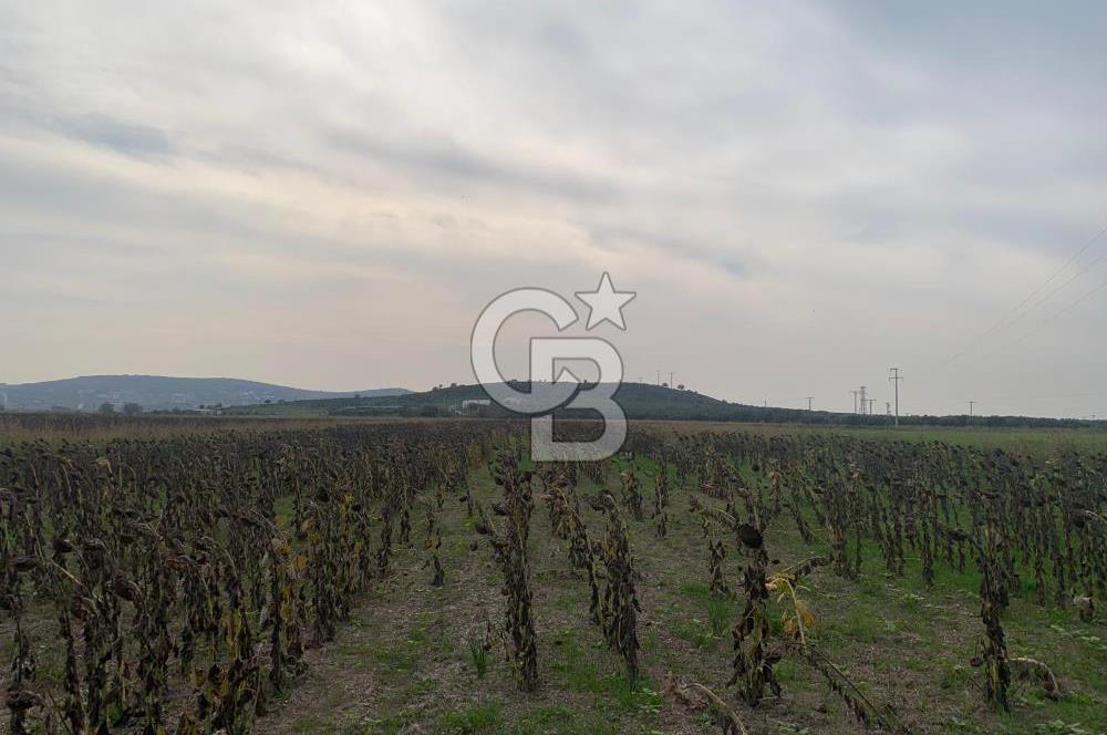 İZMİR FOÇA GERENKÖY SATILIK TARLA