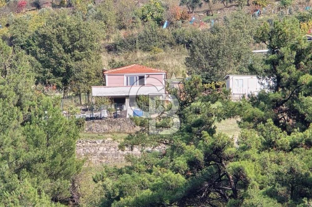 Bornova Beşyol Mahallesinde Satılık Tarla