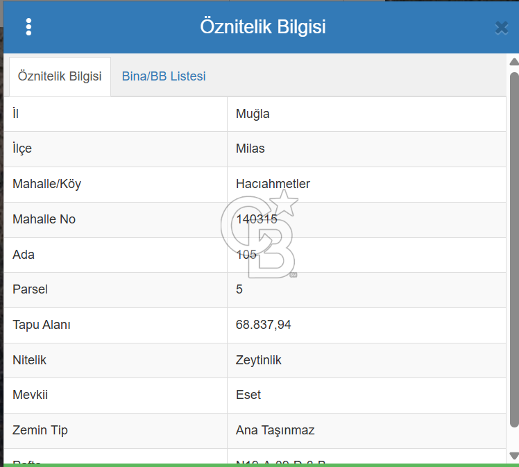 1281053607 MİLAS SELİMİYE HACIAHMETLERDE SATILIK 70 DÖNÜM ZEYTİNLİK 