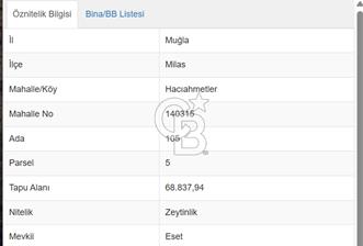 1281053607 MİLAS SELİMİYE HACIAHMETLERDE SATILIK 70 DÖNÜM ZEYTİNLİK  - 1 - 312051
