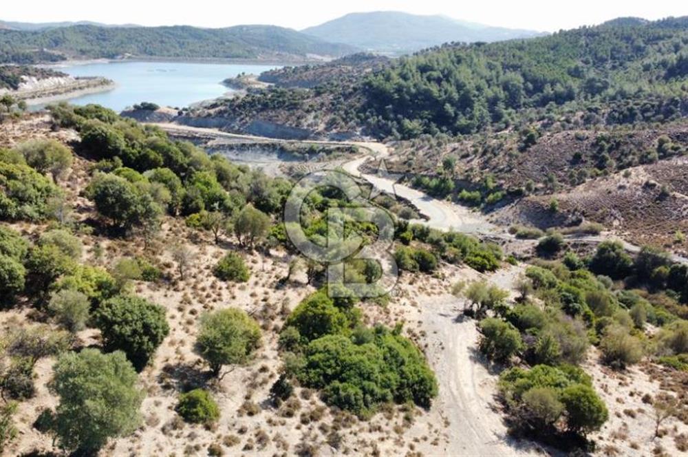 SEFERİHİSAR KAVAKDERE BARAJI YANI – ZEYTİN AĞAÇLI VERİMLİ TARLA