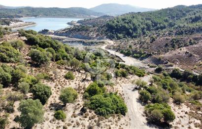 SEFERİHİSAR KAVAKDERE BARAJI YANI – ZEYTİN AĞAÇLI VERİMLİ TARLA