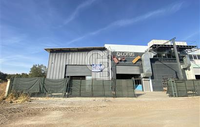İZMİR TORBALI'da KİRALIK 650 m2 FABRİKA