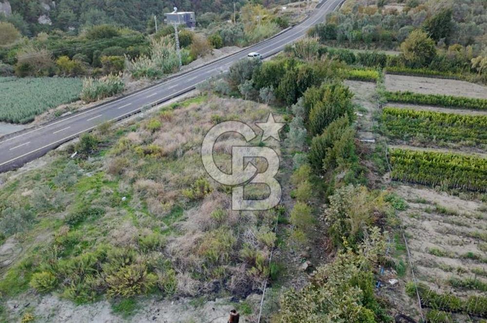 YAYLICA MAHALLESİ SATILIK ARSA