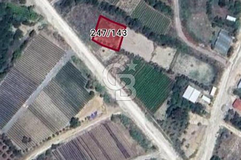 YAYLICA MAHALLESİ SATILIK ARSA