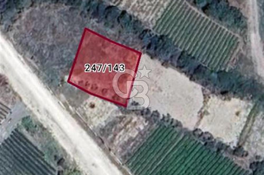 YAYLICA MAHALLESİ SATILIK ARSA