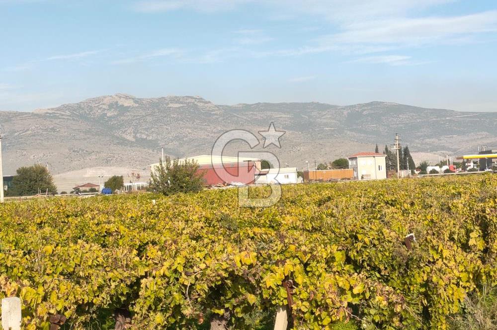 Menemen de Satılık Tarlalar