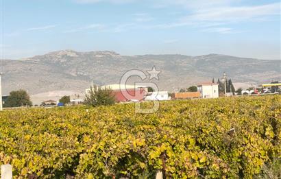 Menemen de Satılık Tarlalar