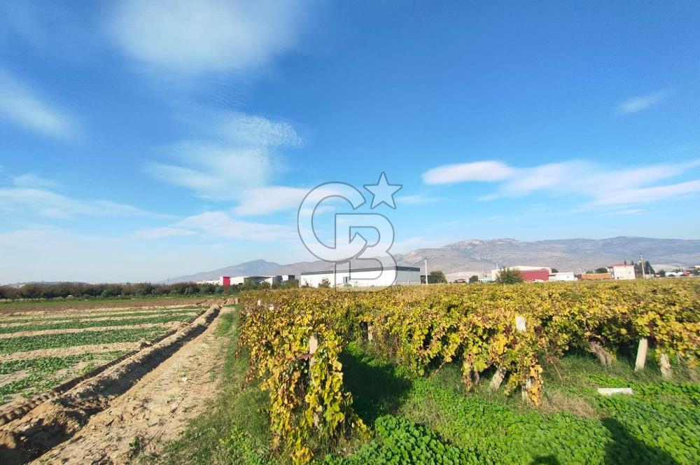 Menemen de Satılık Tarlalar