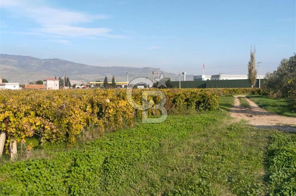 Menemen de Satılık Tarlalar