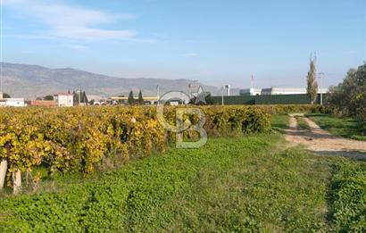 Menemen de Satılık Tarlalar