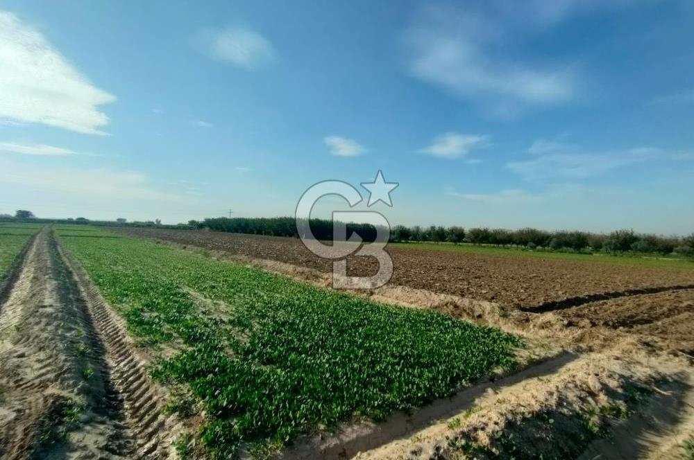 Menemen de Satılık Tarlalar