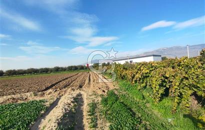 Menemen de Satılık Tarlalar