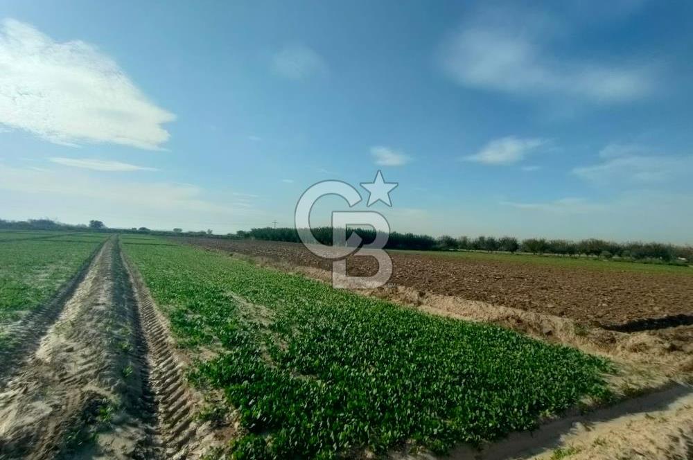 Menemen de Satılık Tarlalar