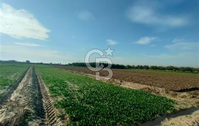 Menemen de Satılık Tarlalar