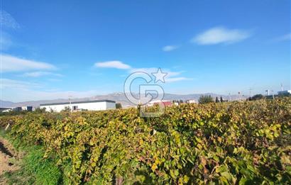 Menemen de Satılık Tarlalar