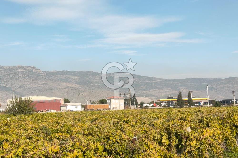 Menemen de Satılık Tarlalar