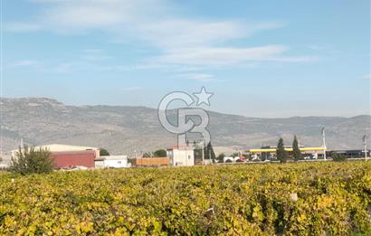 Menemen de Satılık Tarlalar