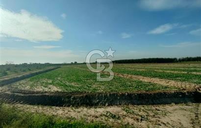 Menemen de Satılık Tarlalar
