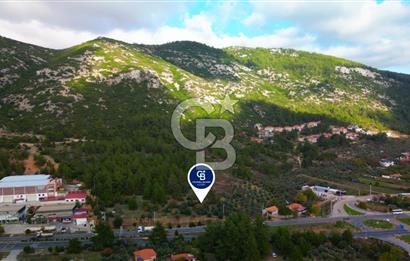 Muğla Menteşe Gülağzı Mahallesinde Satılık Ticari İmarlı Arsa 