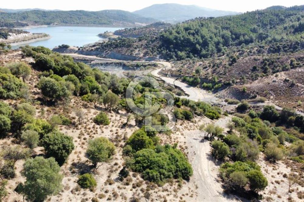 SEFERİHİSAR KAVAKDERE BARAJI YANI – ZEYTİN AĞAÇLI VERİMLİ TARLA