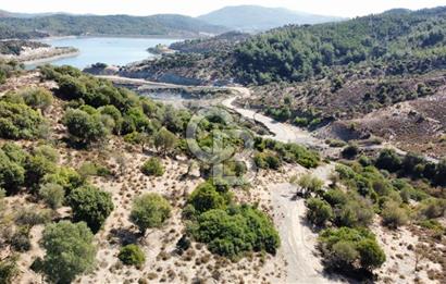 SEFERİHİSAR KAVAKDERE BARAJI YANI – ZEYTİN AĞAÇLI VERİMLİ TARLA