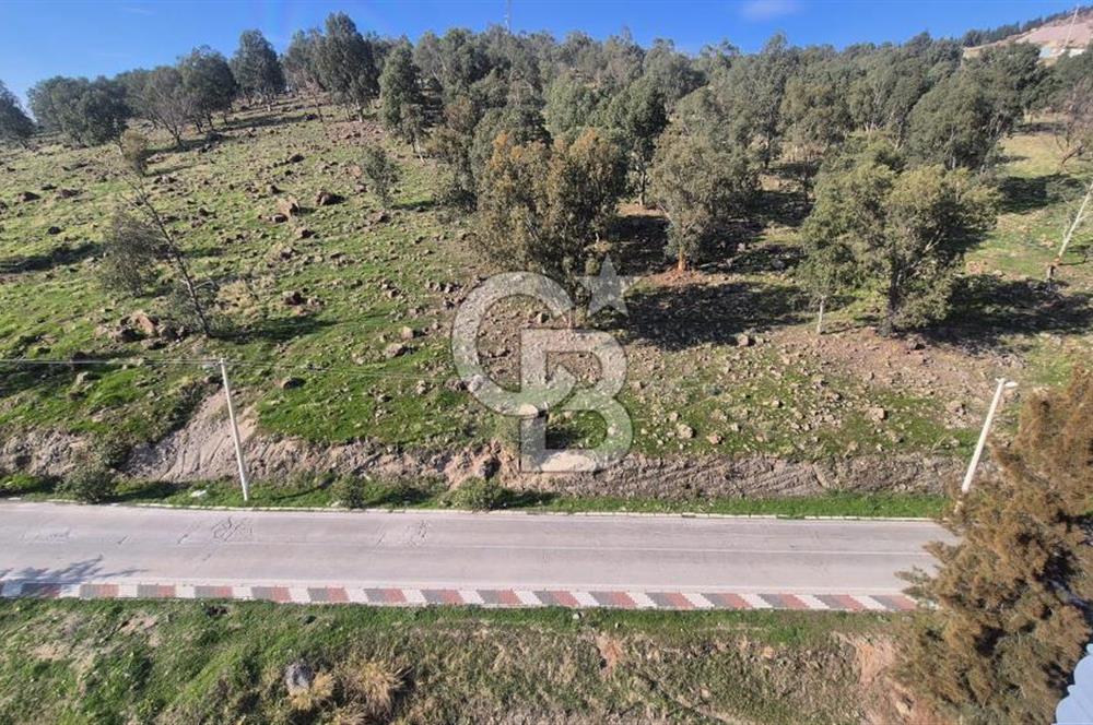 ÇİĞLİ YAKAKENT MAHALLESİNDE MASRAFSIZ SATILIK 3+1 DAİRE