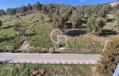 ÇİĞLİ YAKAKENT MAHALLESİNDE MASRAFSIZ SATILIK 3+1 DAİRE