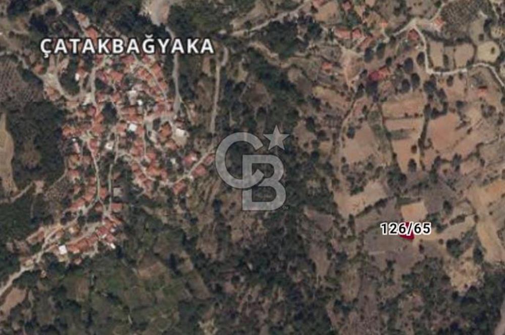Muğla Menteşe Çatakbağyaka Mahallesinde Satılık Tarla